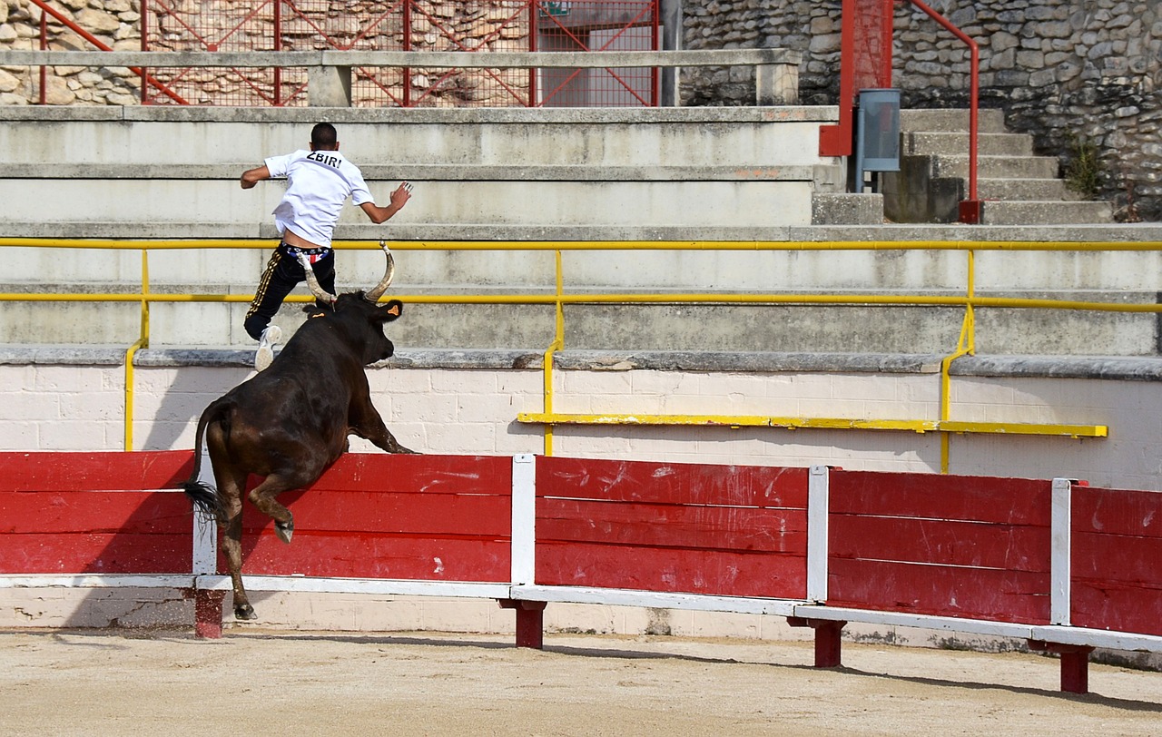 選擇