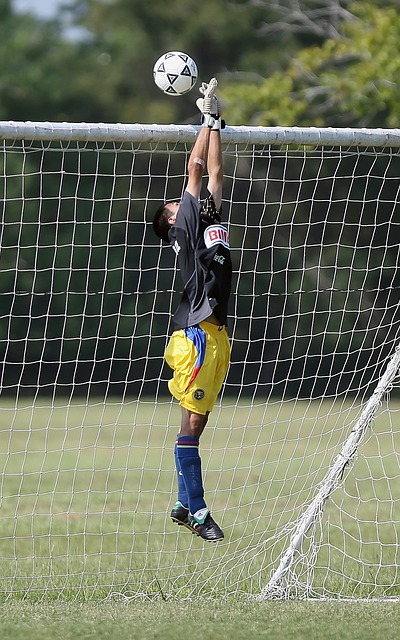 广泛讨论 广泛讨论