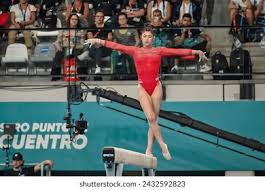 试图通过快 试图通过快