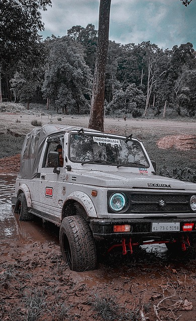 案例分析显 案例分析显