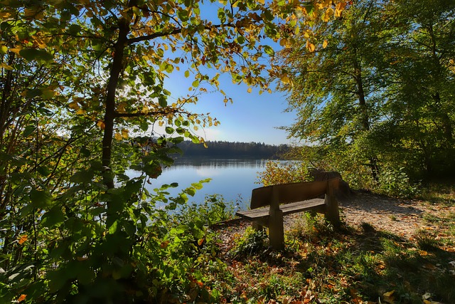 辛纳等年轻 辛纳等年轻