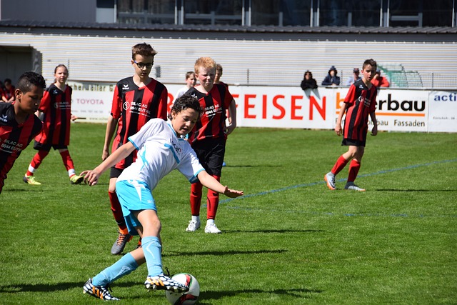 成功举办 成功举办