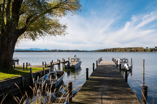 能笑到最后 能笑到最后