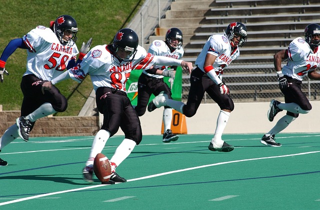 他已为球队 他已为球队